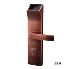 八佰锁业d1918系列智能门锁